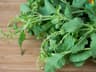 Hot Basil