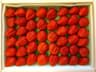 Ichigo Strawberry