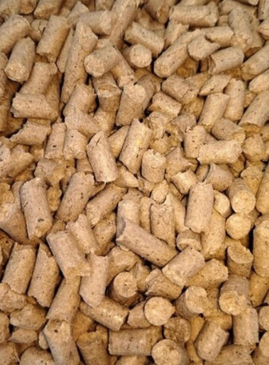 Antelope Feed