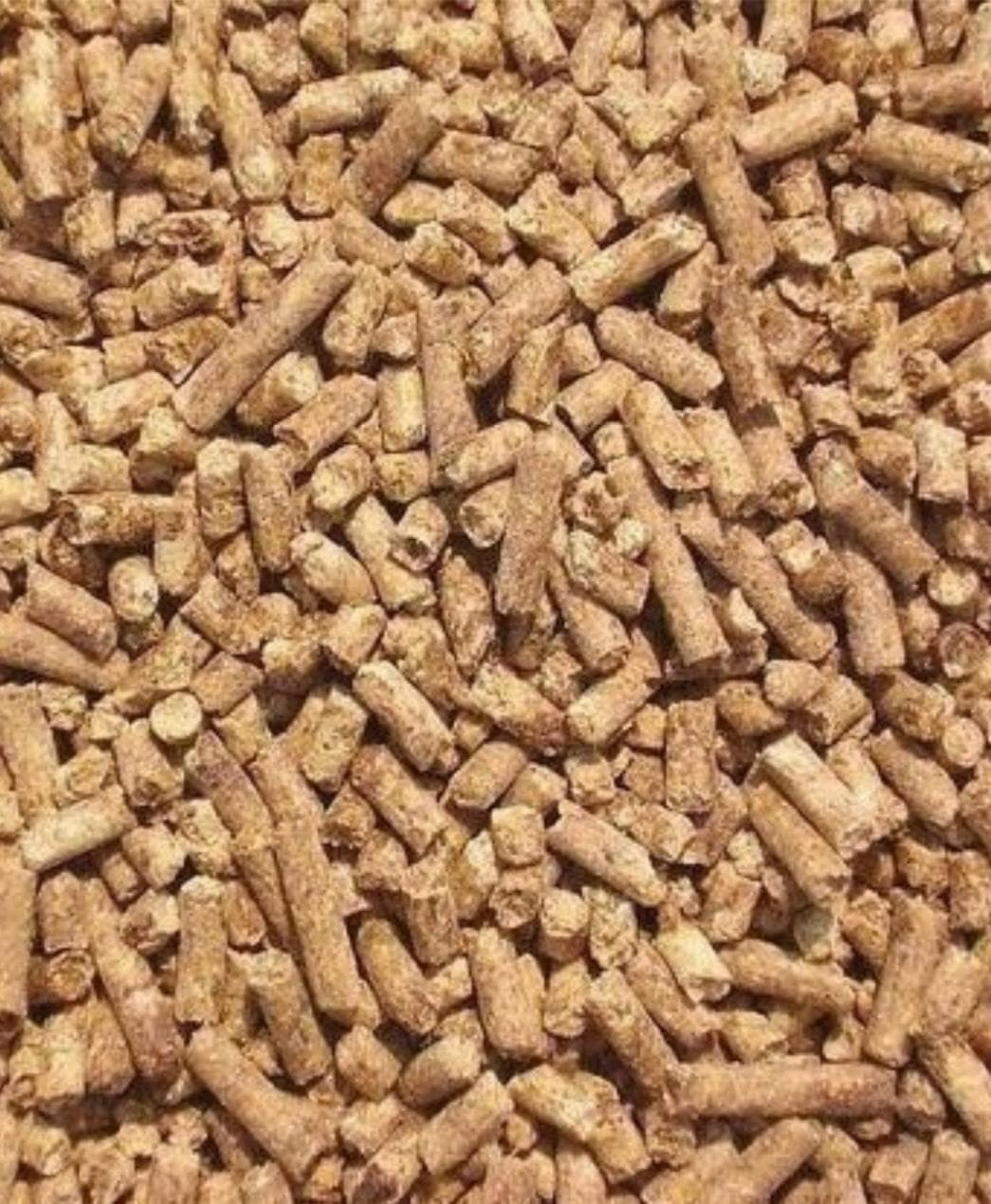 Ostrich Feed