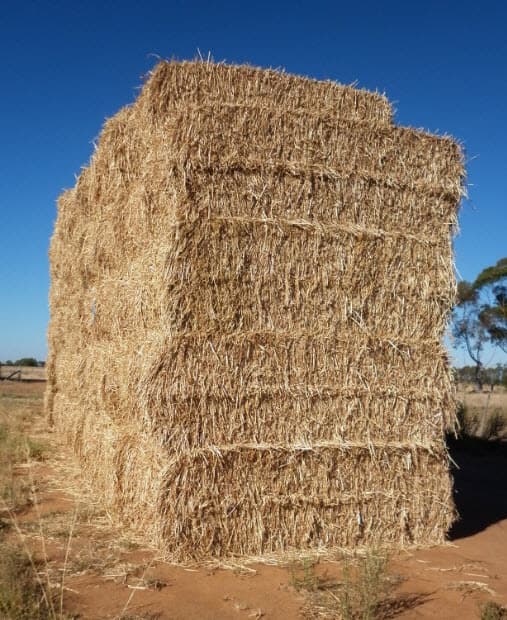 Sorghum Hay