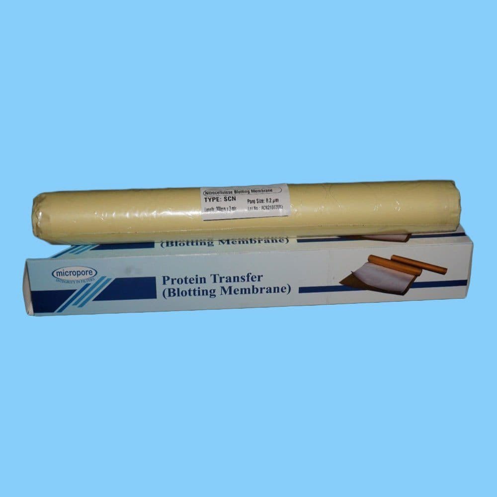 SCN/Cellulose Nitrate Protein Transfer Membrane